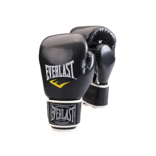 boxing gloves everlast